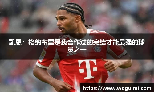 三亿体育官网入口