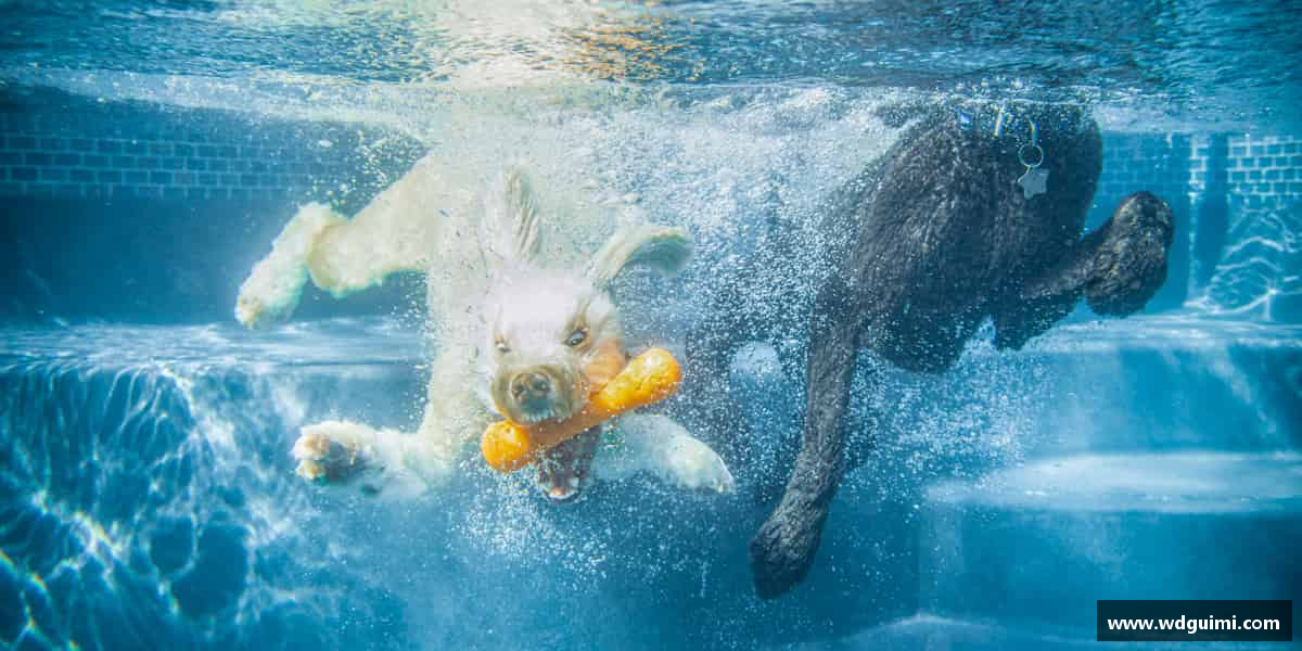 每一分努力，都是前行的动力。